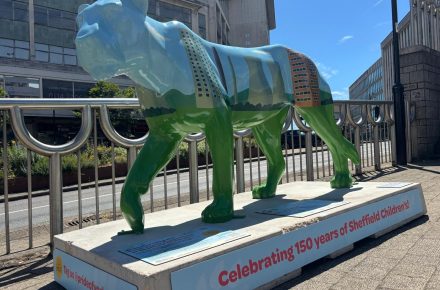 Green Piling Proudly Sponsors New Community Initiatives Across Sheffield